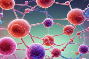 Cell Cycle Chemotherapy Quiz