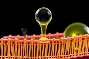 Cell Membrane Function and Temperature Effects