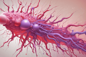 Bestanddelen van het plasma + autologtransfusie