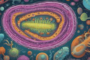 Protist Classification Quiz