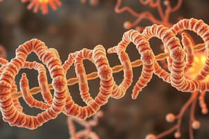 Ribosome Structure Quiz