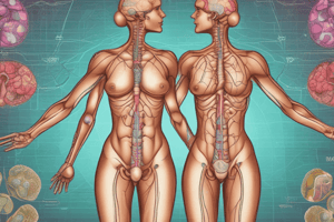 Endocrine System Lecture 3