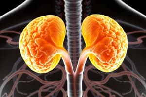 Adrenal Glands and Hormones