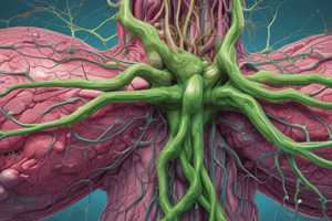 Anatomy of the Lymphatic and Immune Systems