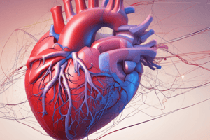 Cardiovascular Physiology: Afterload and Cardiac Output