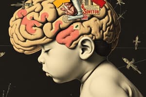 Infant and Brain Development