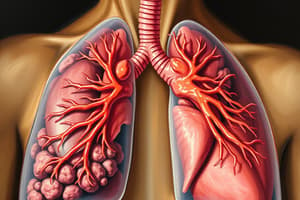 Lung Volumes, Capacity, Gas Transport