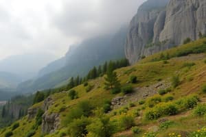 Invloed van de mens op het landschap