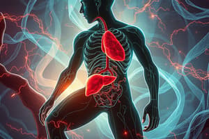 Biochemistry of Ketone Bodies and Liver Utilization