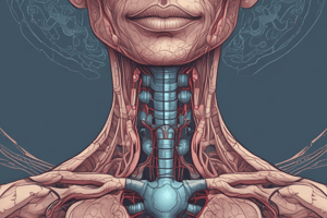 Anatomy of the Thyroid Gland