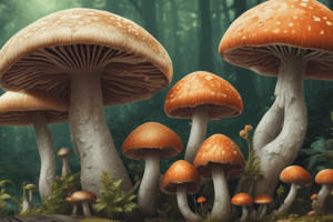 Mycology Lecture 1: Fungi Classification & Properties