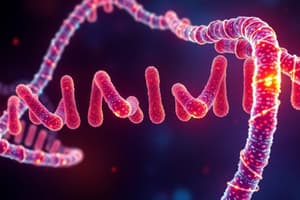 DNA Replication: L2