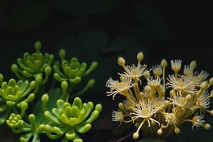 Algae Species Comparison