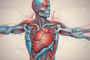 Heart Anatomy: Arteries and Veins