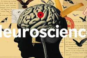 Neuroscience Basics Quiz