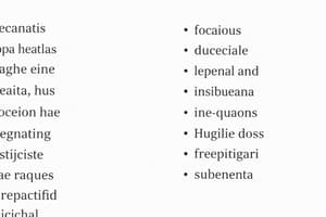 Vocabulario y Expresiones en Español