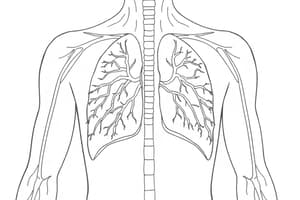 Fisiologia della respirazione (Fisiologia 50)