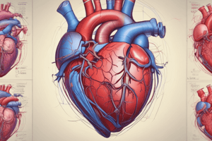 Pathophysiology of Congenital Heart Defects