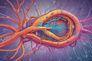 Y1S1 008 III Physiology: Resting Membrane Potential