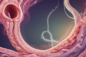 Tipos de Atresias Intestinales y Atresia del Duodeno