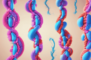 L11 Numerical Abnormalities of Chromosomes