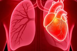 Pulmonary Hypertension and Heart Conditions