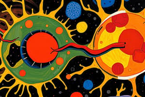 Exocytosis vs Endocytosis