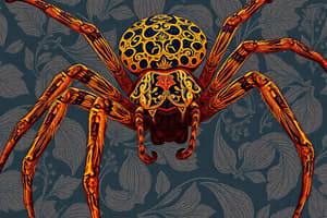 Araneus ventricosus Spider Deception Tactics