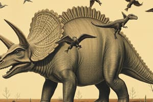 Triceratops: Physical Characteristics and Diet