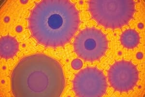 Prokaryotic vs. Eukaryotic Cells