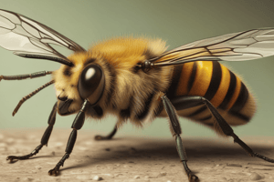 Efectos y primeros auxilios de la picadura de abeja