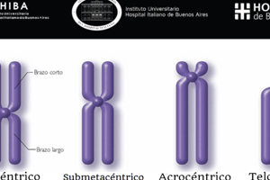 Emparejamientos