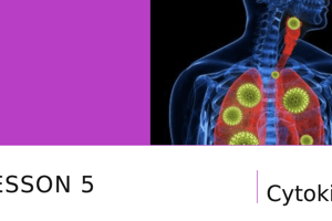 UNIT 4, LESSON 5 : CYTOKINES