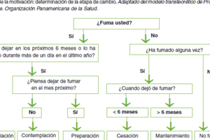 142. Quiz Tabaquismo I 295 a 310