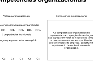 Competências Organizacionais e Individuais