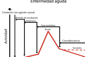 Preguntas y respuestas