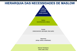 Aula 3 Principles of Maslow