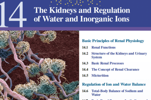 Chapter 14 The Kidneys and Regulation of Water and Inorganic Ions