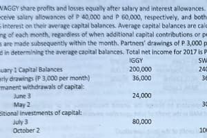 Partnership Accounts: IGGY and SWAGGY