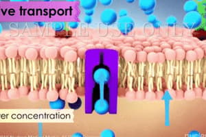 Biology Diffusion Process