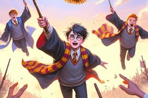 Harry Potter a kameň mudrcov kvíz