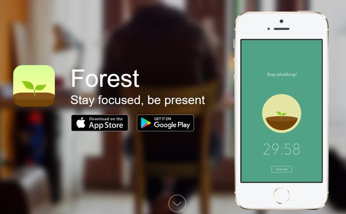 The trees and shrubs you can grow in the digital forest are so cute you won't want them to die