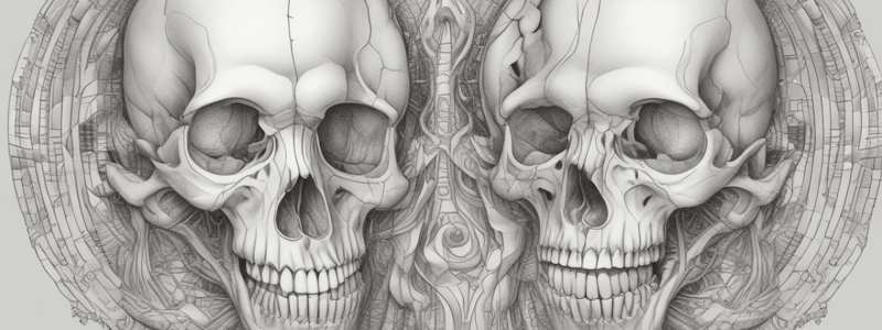 Pelvis Viscera