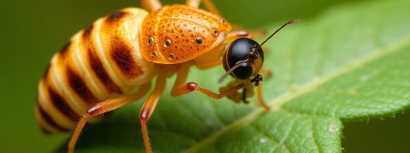 1 Ciclos Parasitarios y Acciones en el Hospedero