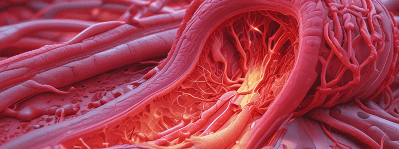 Arteriosclerosis and Atherosclerosis Overview