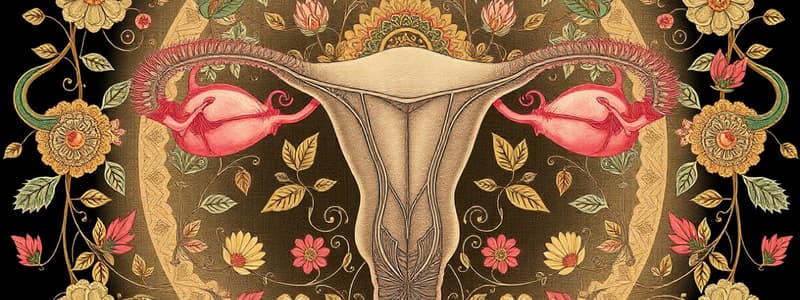 Human Reproductive System Quiz