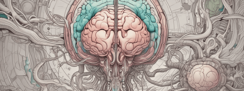 Pressure inside the Skull: CSF and Ventricles