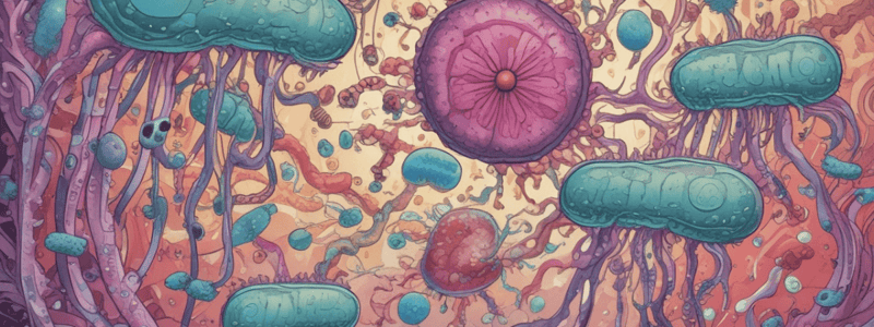 Bacteriology exam prep: Klebsiella, Campylobacter, Yersinia, Helicobacter