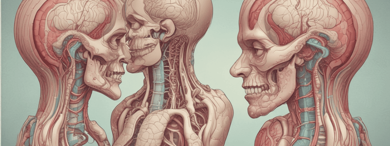 Large Intestine Anatomy Quiz