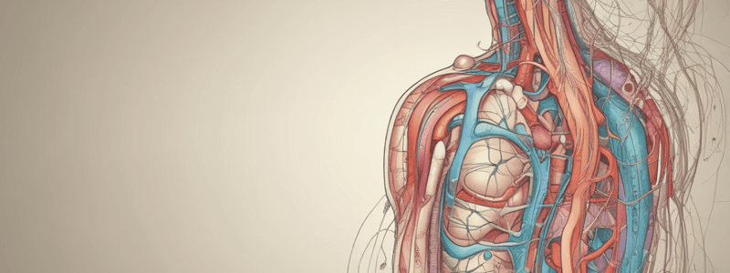 Urinary System Functions